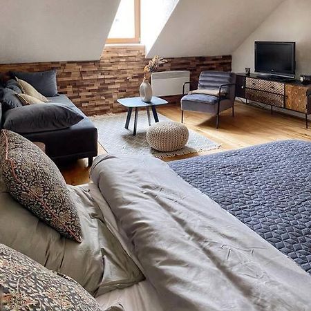 Cozy And Warm Apartment In The Heart Of Karlsbad 外观 照片